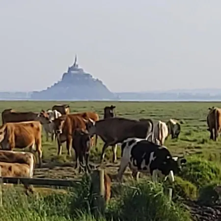 Beachdisa 度假居 滨海圣佩