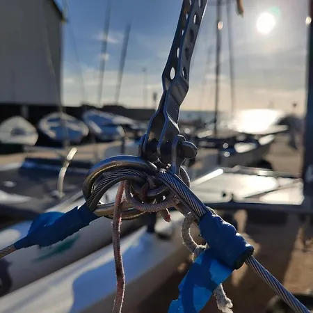 Beachdisa 滨海圣佩