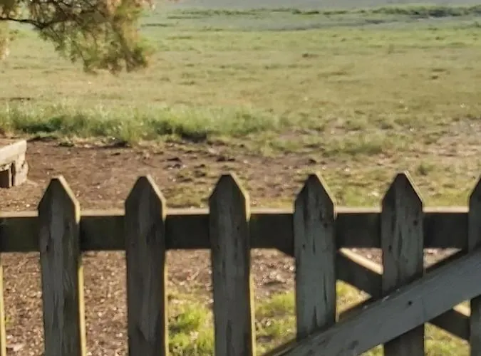 Beachdisa * Saint-Pair-sur-Mer