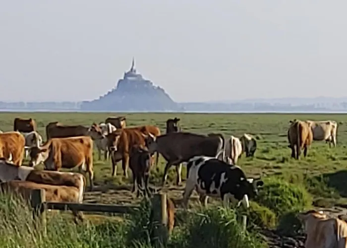 Beachdisa Ferienhaus Saint-Pair-sur-Mer